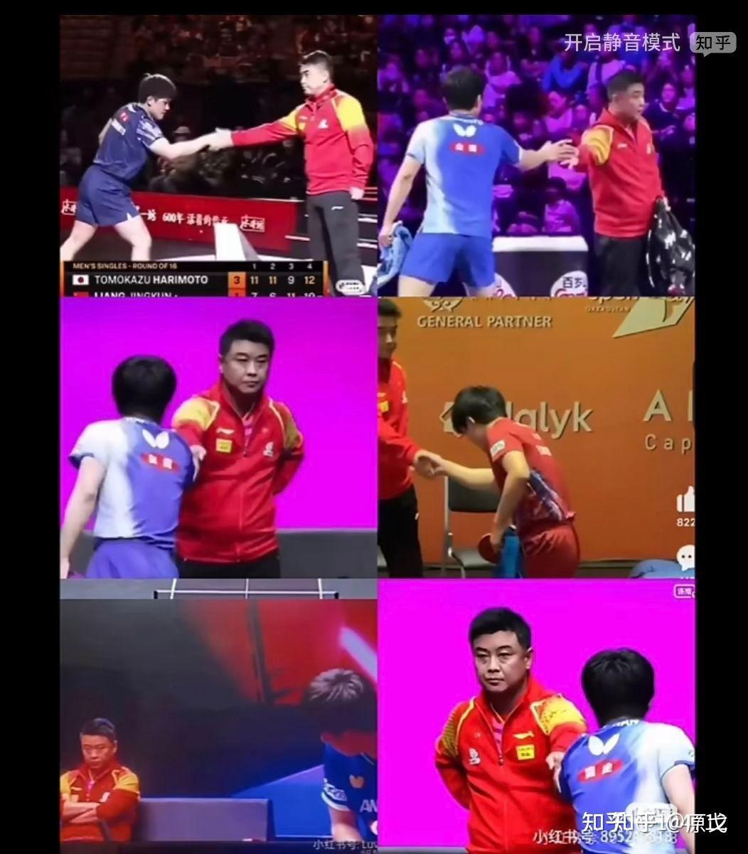 开云体育app-法国乒乓球队力克比利时乒乓球队，王皓统治全场的简单介绍