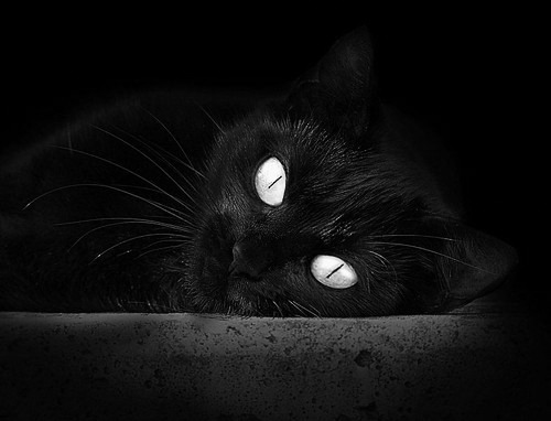 封锁与焦点,卡塔尔外交风波与蒂亚戈的意甲闪耀时刻