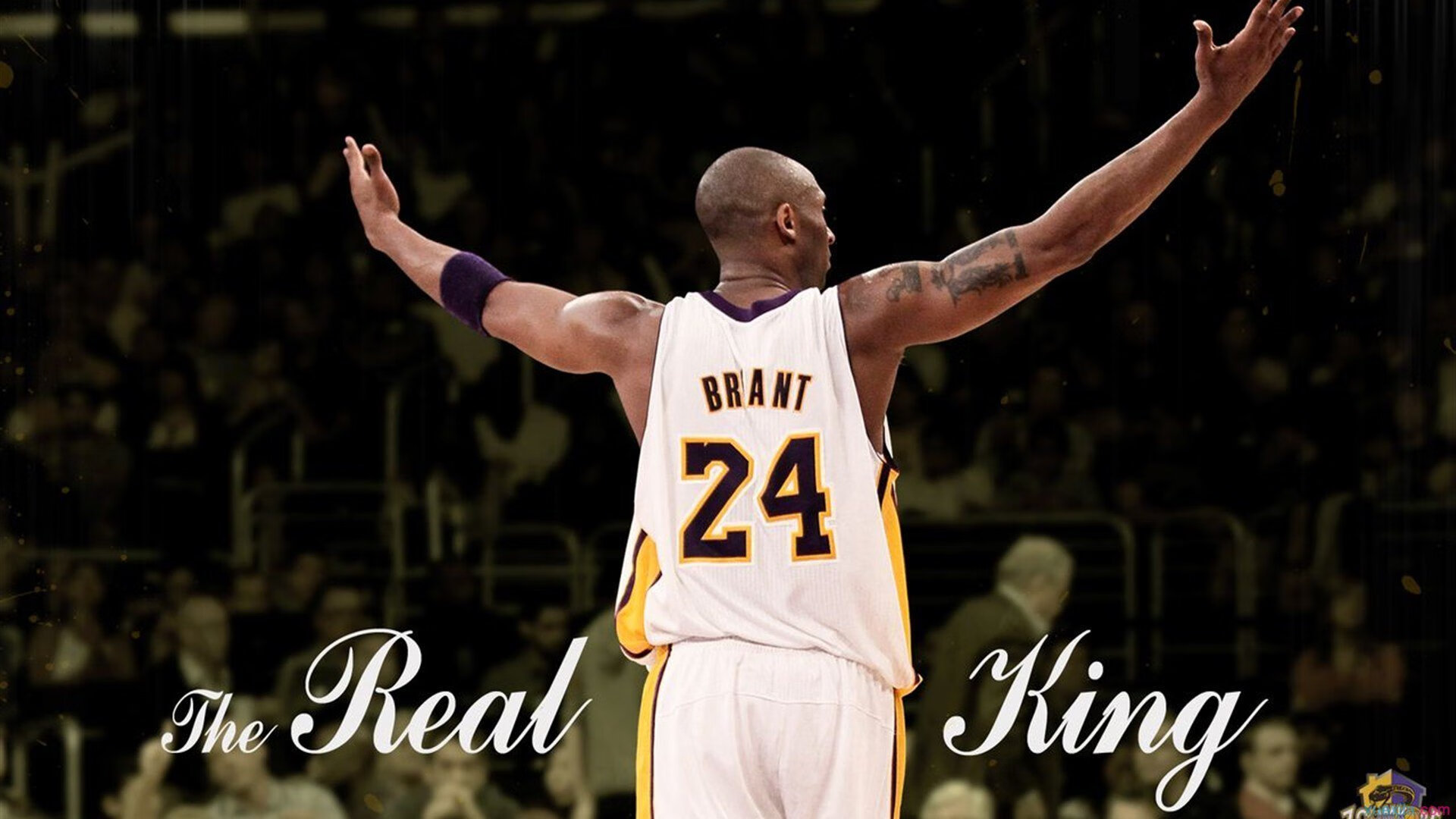 虚拟巅峰，深圳队欧冠半决赛险胜开拓者，跨界想象引爆热议